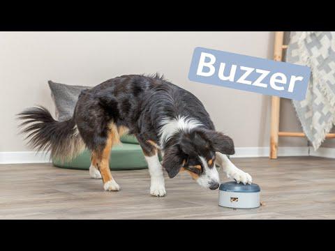 Dog activity buzzer