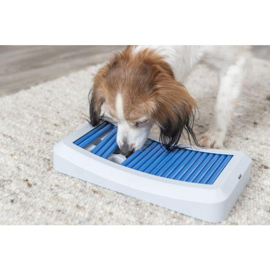 Dog Activity Game POKER BOX VARIO 1 – CANIS CALLIDUS Quality Dog