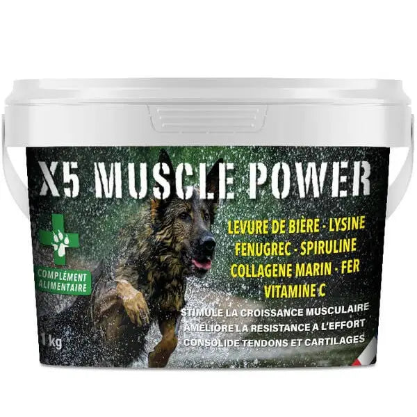 X5 PREMIUM MUSCLE POWER ( chien sportif)