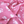 plaid chiot rose ou bleu 140x 100cm