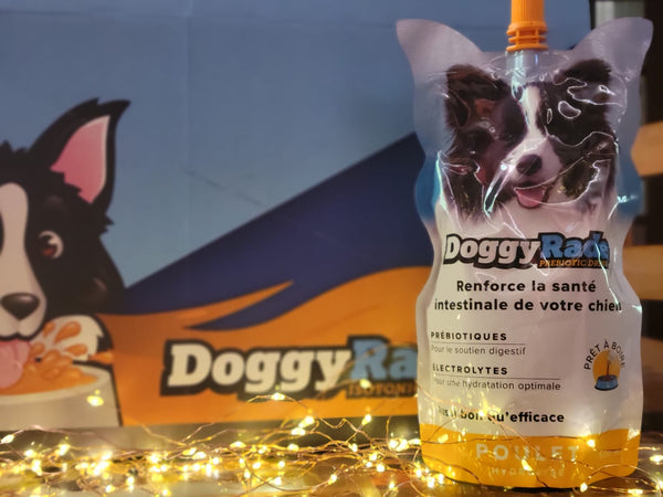 Doggy rade boisson prébiotique et réhydratant