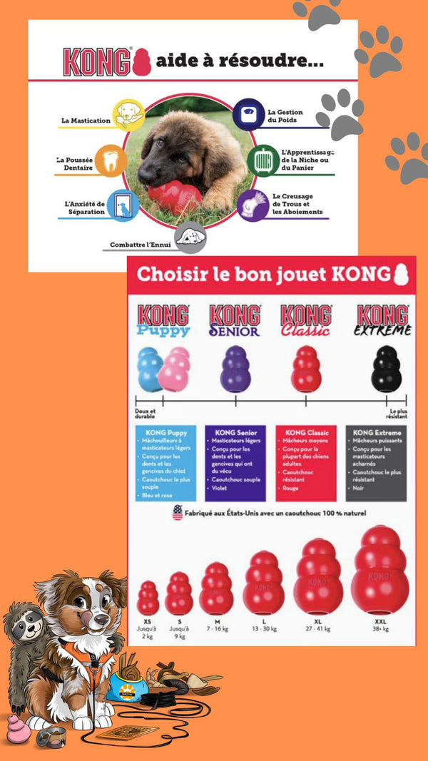 KONG - Jouet Classic en Caoutchouc pour Chien - M