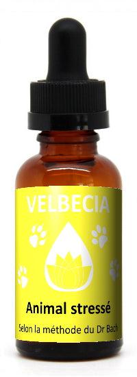 Fleur de bach : animal stress 30ml